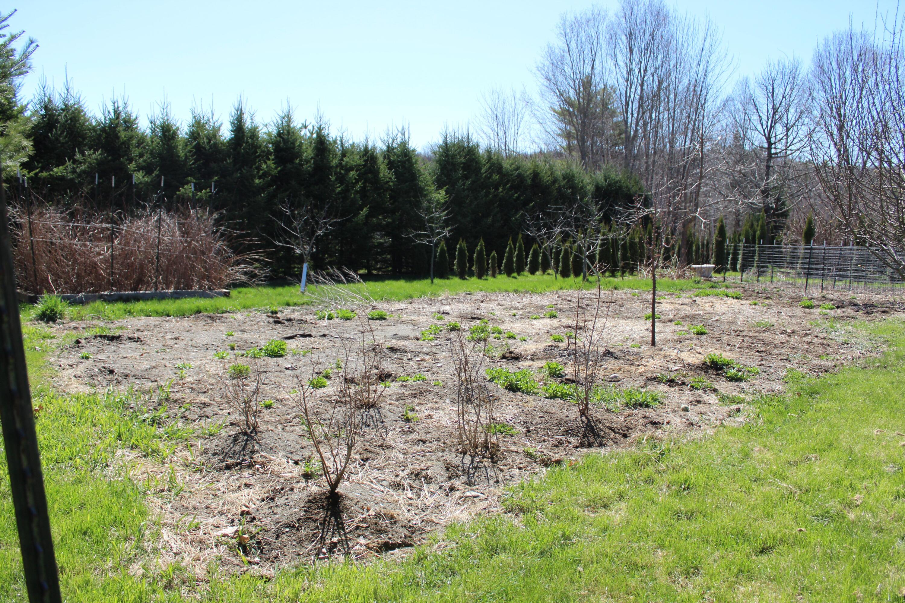759 Brooks Road Knox, ME 04986 - Photo 36 of 53