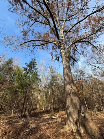 $80,000 | Lot 7 Christian Road, McCormick, SC 29835