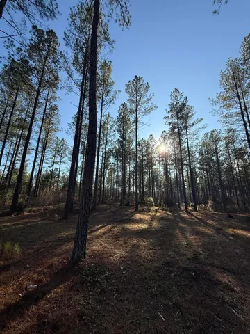 $80,000 | Lot 7 Christian Road, McCormick, SC 29835