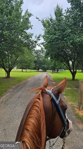 $479,000 | 3255 Alvaton Road, Gay, GA 30218