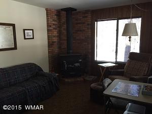 6 Cr 2084 Alpine, AZ 85920 - Photo 20 of 25 a living room with furniture and a window