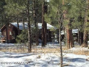 6 Cr 2084 Alpine, AZ 85920 - Photo 9 of 25 a view of a yard with trees