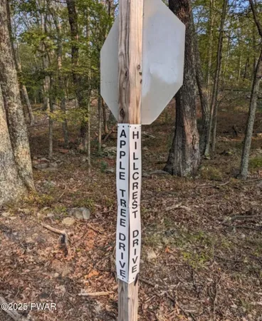 $20,000 | Lot 1 Apple Tree Drive, Dingmans Ferry, PA 18328