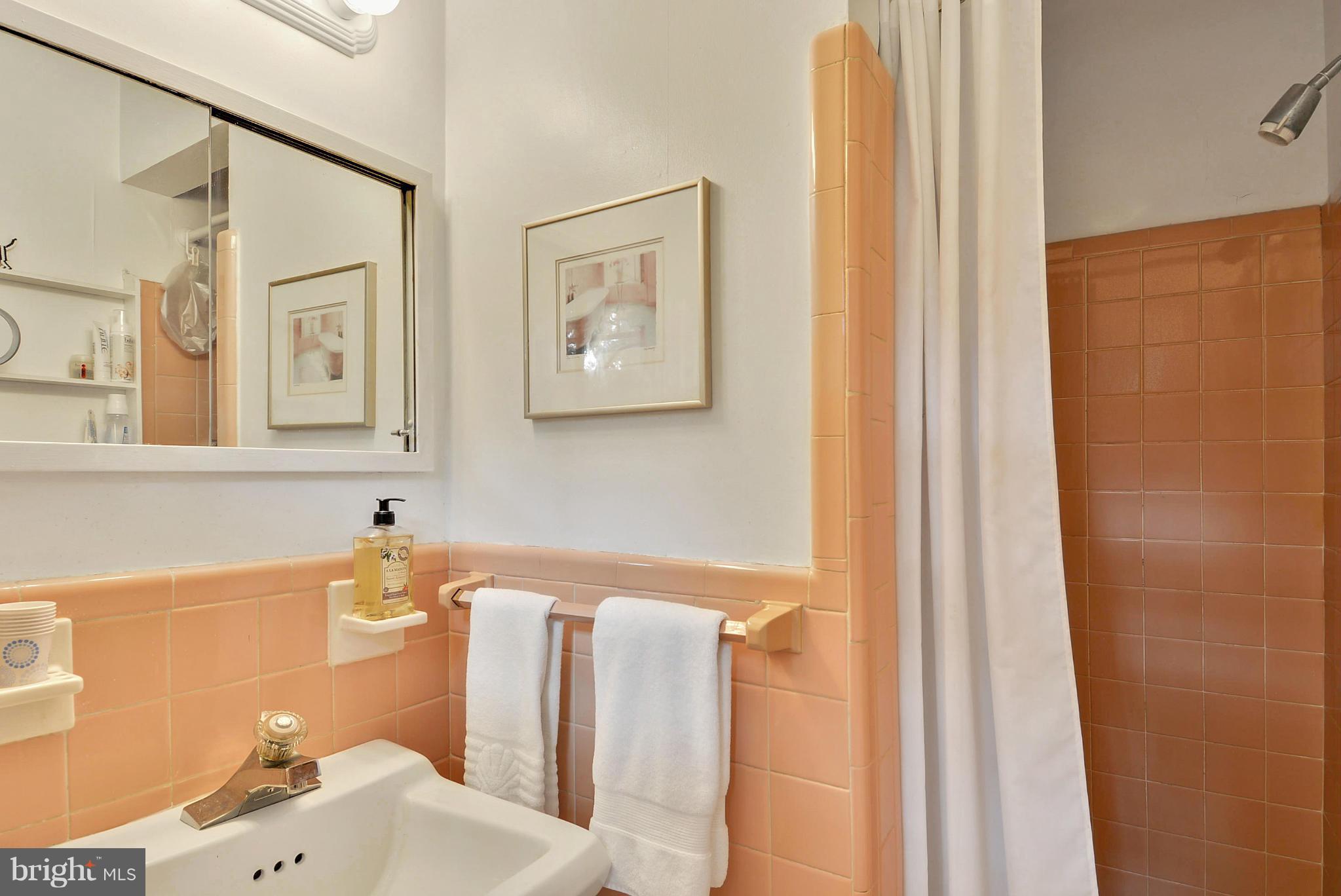 1939 Kimberly Road Silver Spring, MD 20903 - Photo 23 of 30 a bathroom with a sink and a mirror