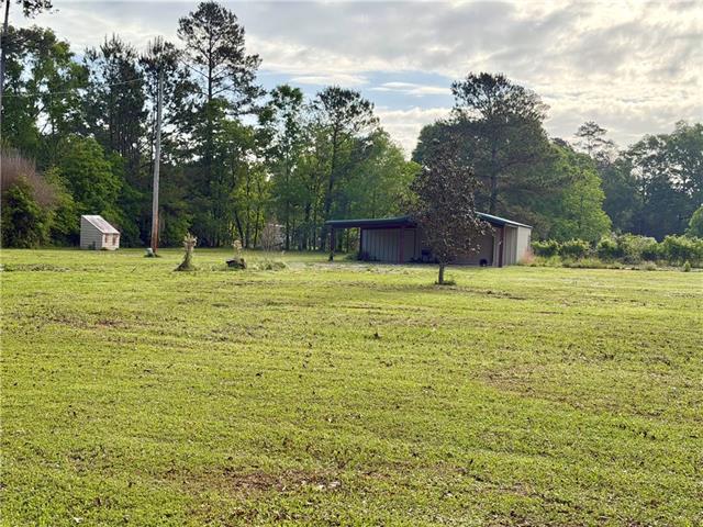 20275 Chappepeela Road Loranger, LA 70446 - Photo 3 of 5