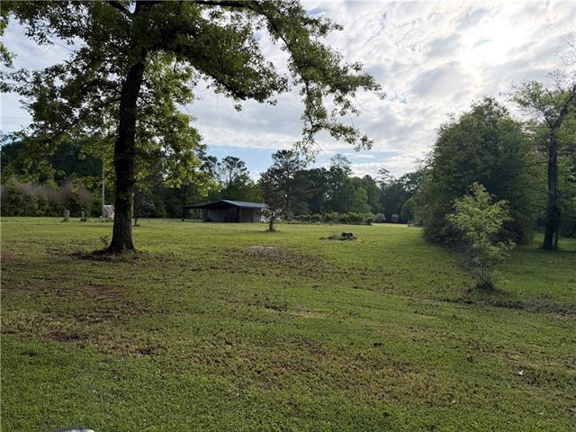 20275 Chappepeela Road Loranger, LA 70446 - Photo 4 of 5