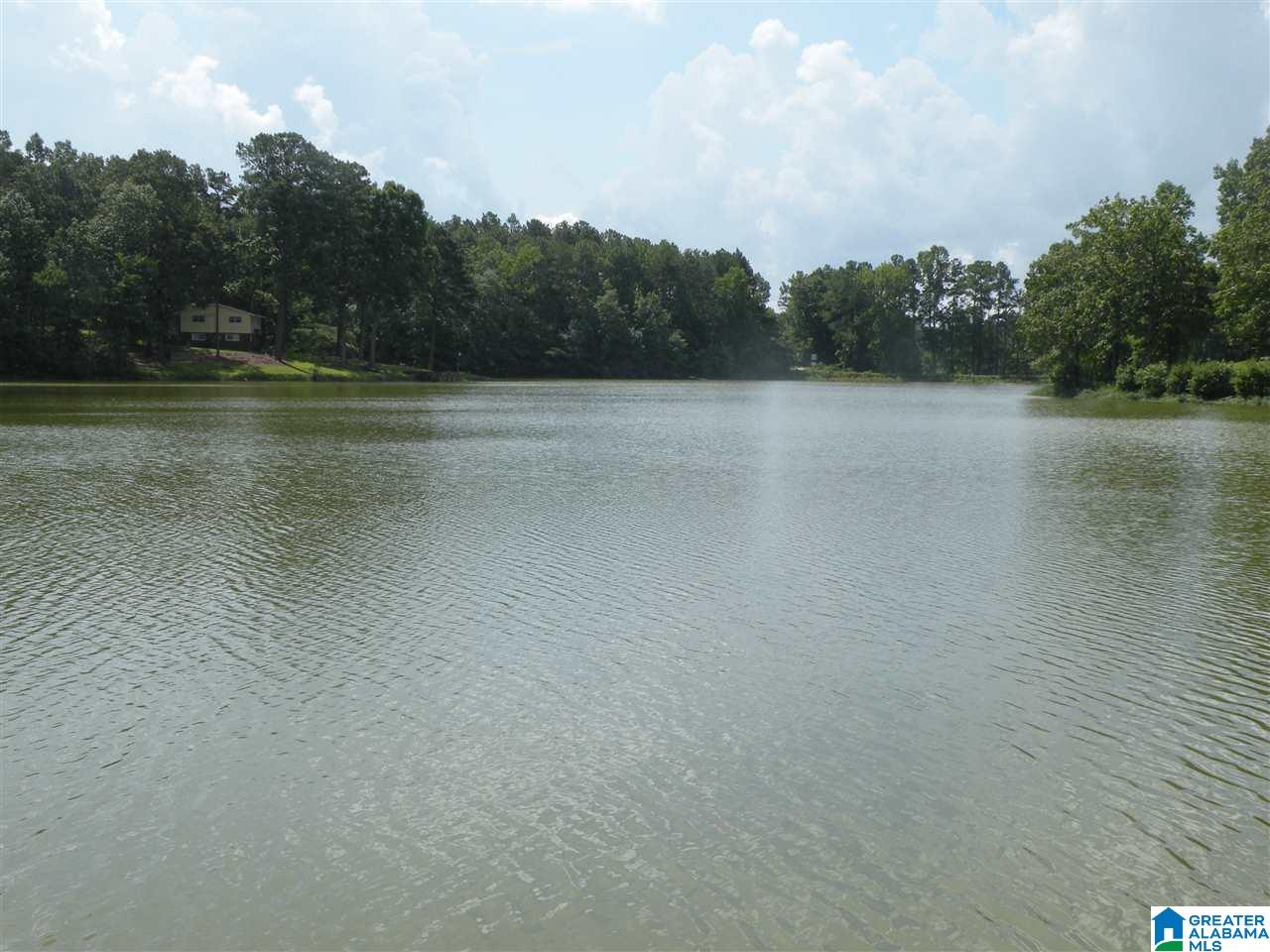 361 Green Mist Road Sylacauga, AL 35150 - Photo 37 of 44 Gallery Image 37