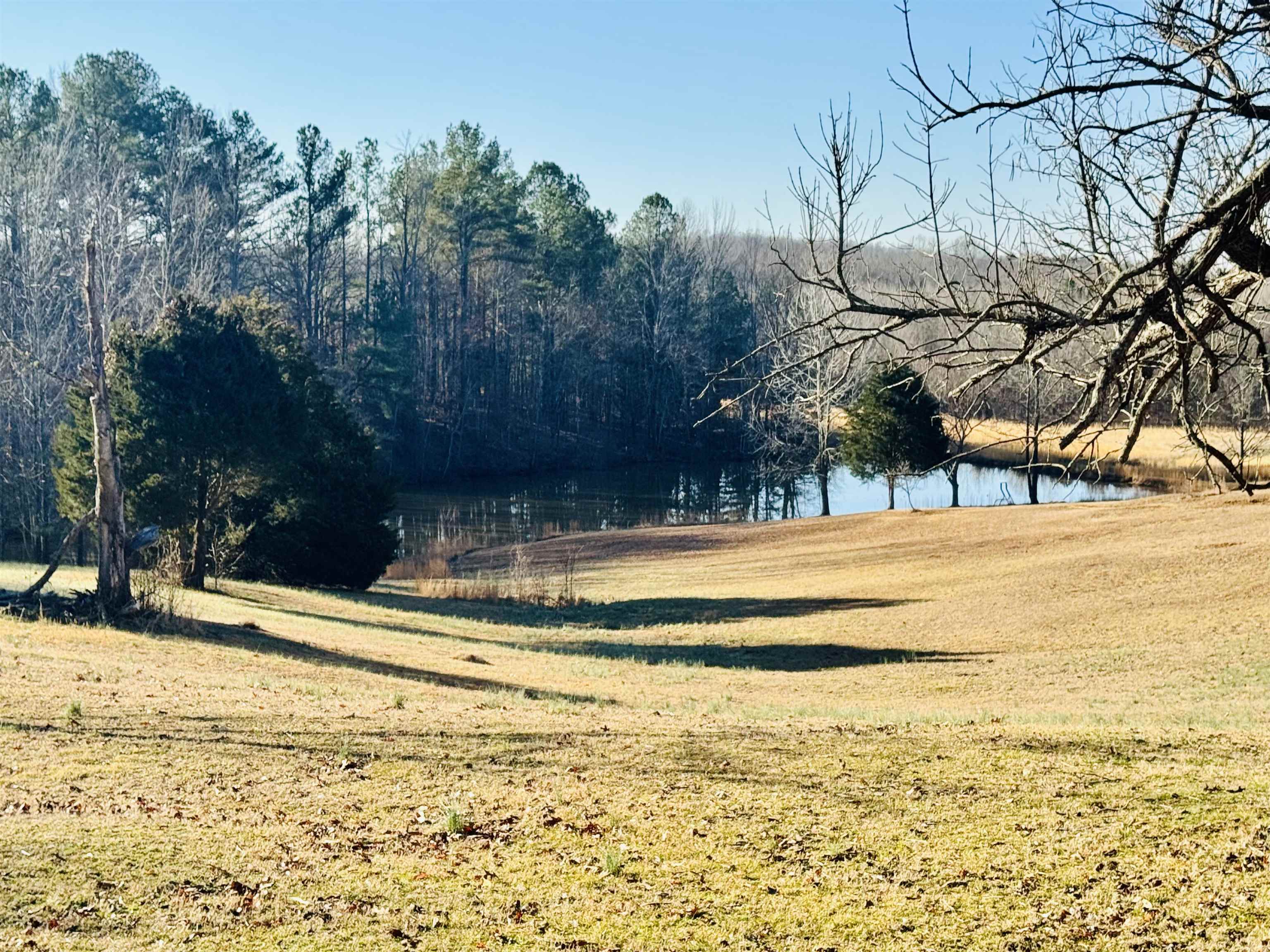 View of yard with a view of trees and a water view