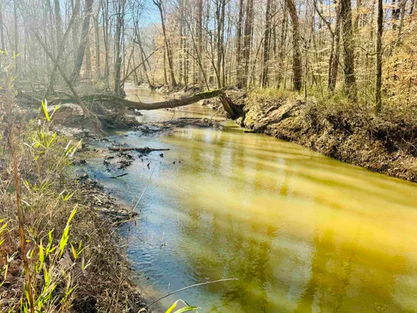 $895,000 | 151 Williams Lane, Cedar Grove, TN 38321