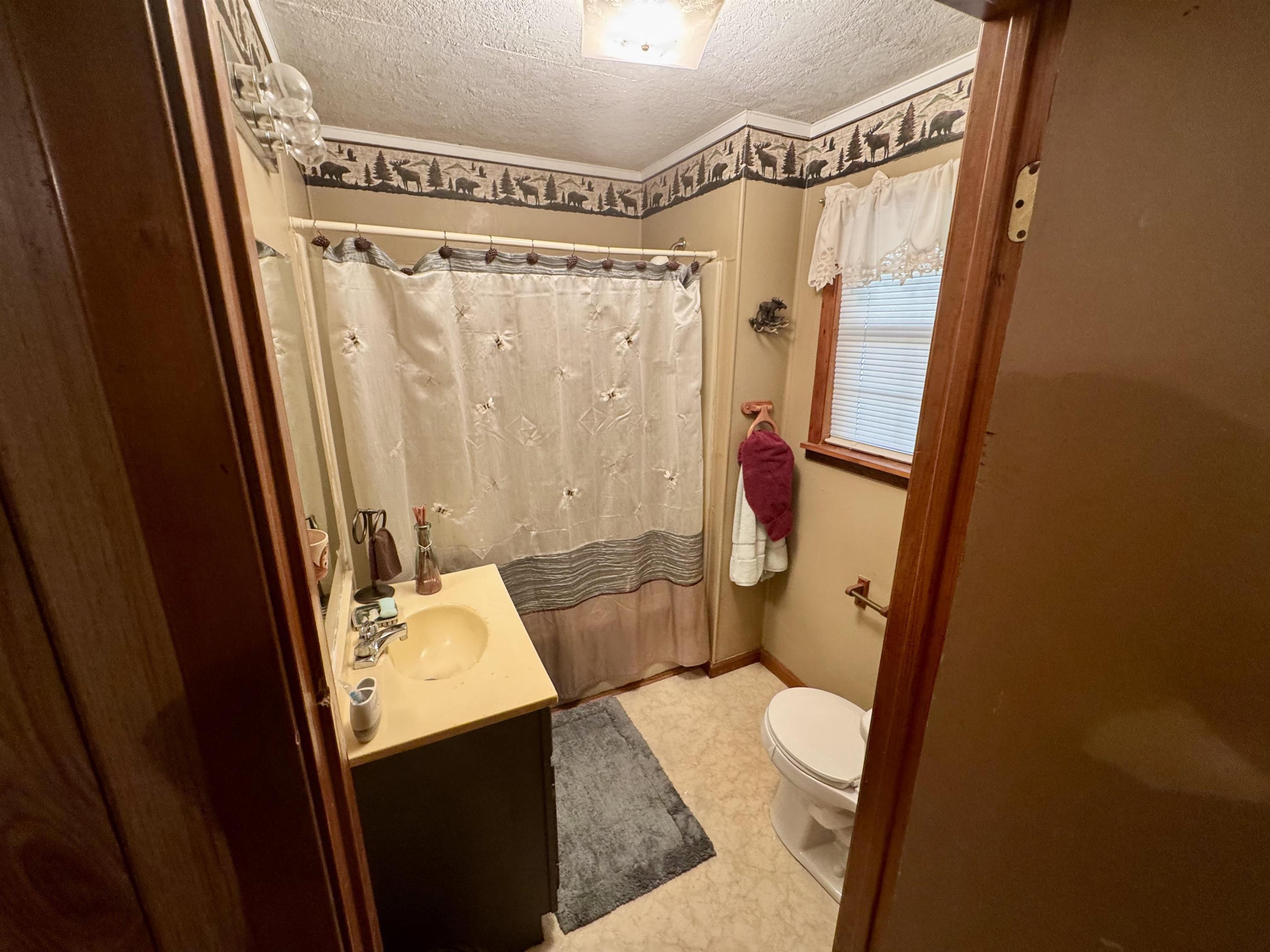 151 Williams Lane Cedar Grove, TN 38321 - Photo 16 of 40 a bathroom with a sink a toilet a mirror and shower