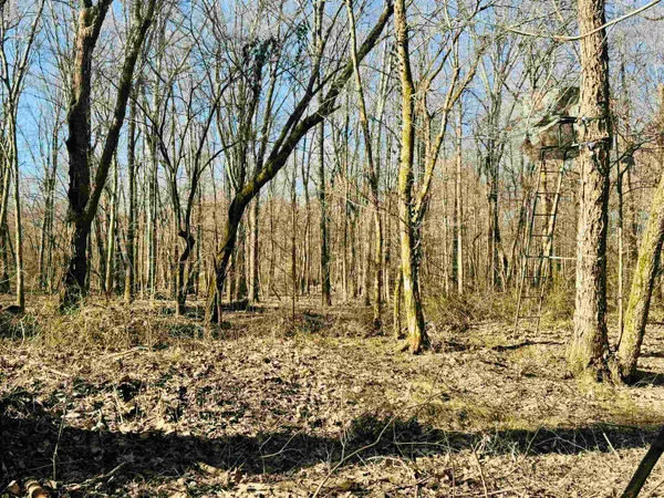 $895,000 | 151 Williams Lane, Cedar Grove, TN 38321