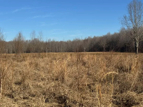 $895,000 | 151 Williams Lane, Cedar Grove, TN 38321