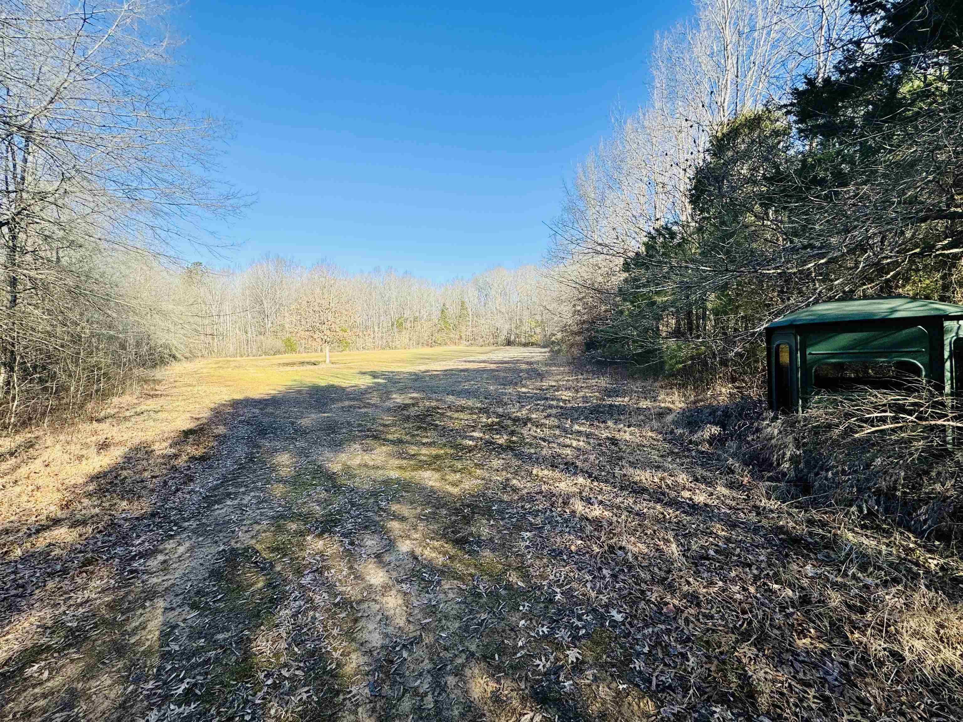 151 Williams Lane Cedar Grove, TN 38321 - Photo 25 of 40 View of street featuring a view of trees