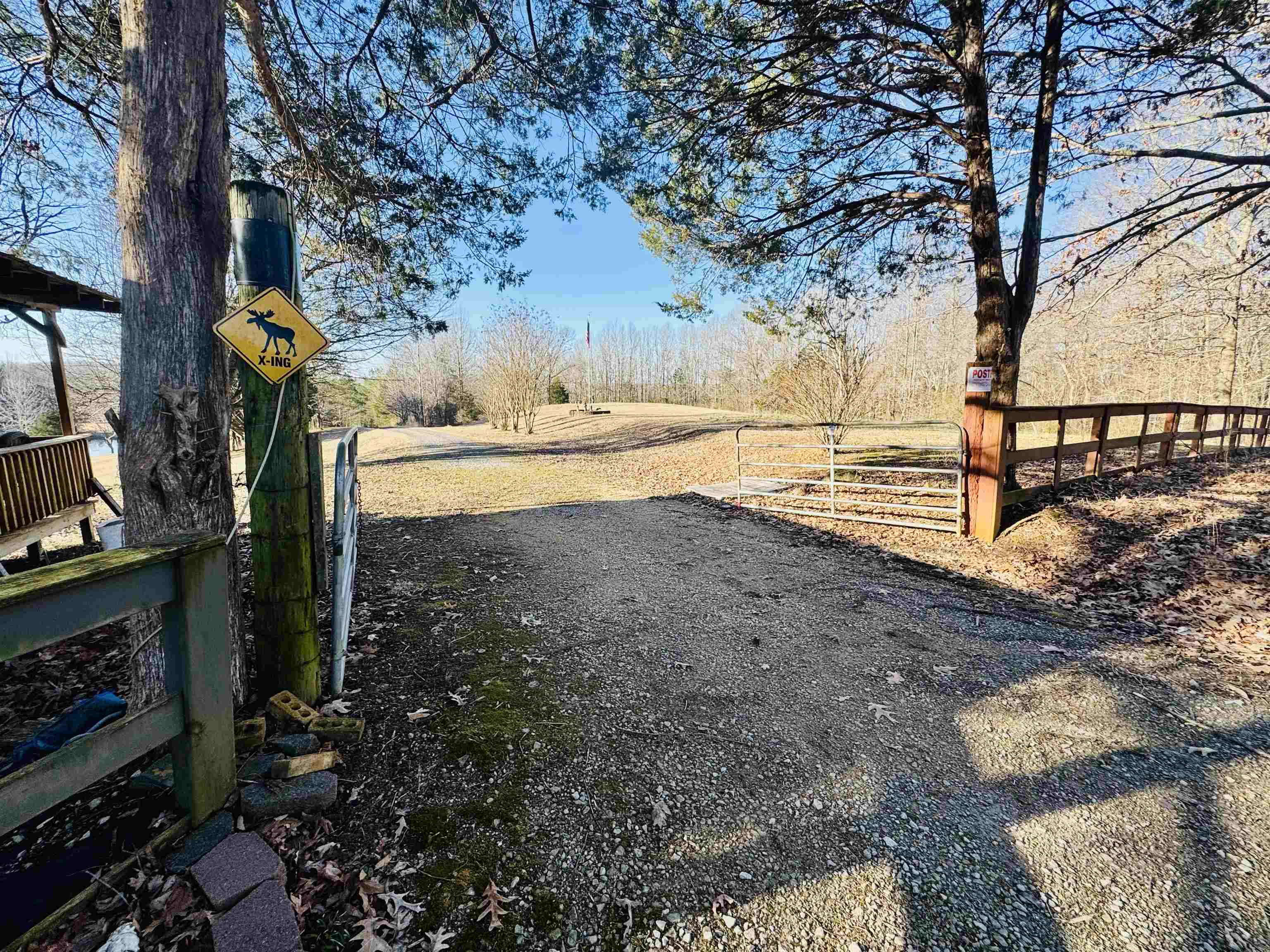 151 Williams Lane Cedar Grove, TN 38321 - Photo 26 of 40 View of road with driveway