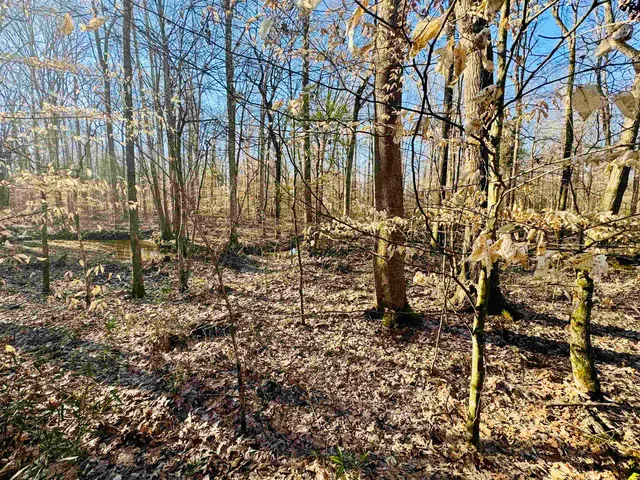 a view of a backyard of the house
