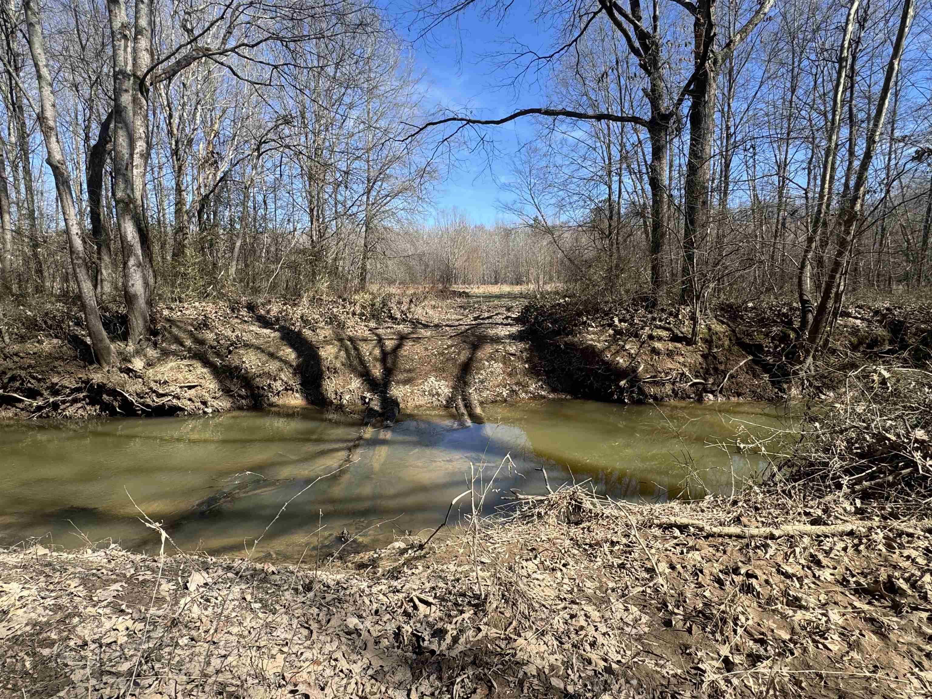151 Williams Lane Cedar Grove, TN 38321 - Photo 32 of 40 a view of lake from yard