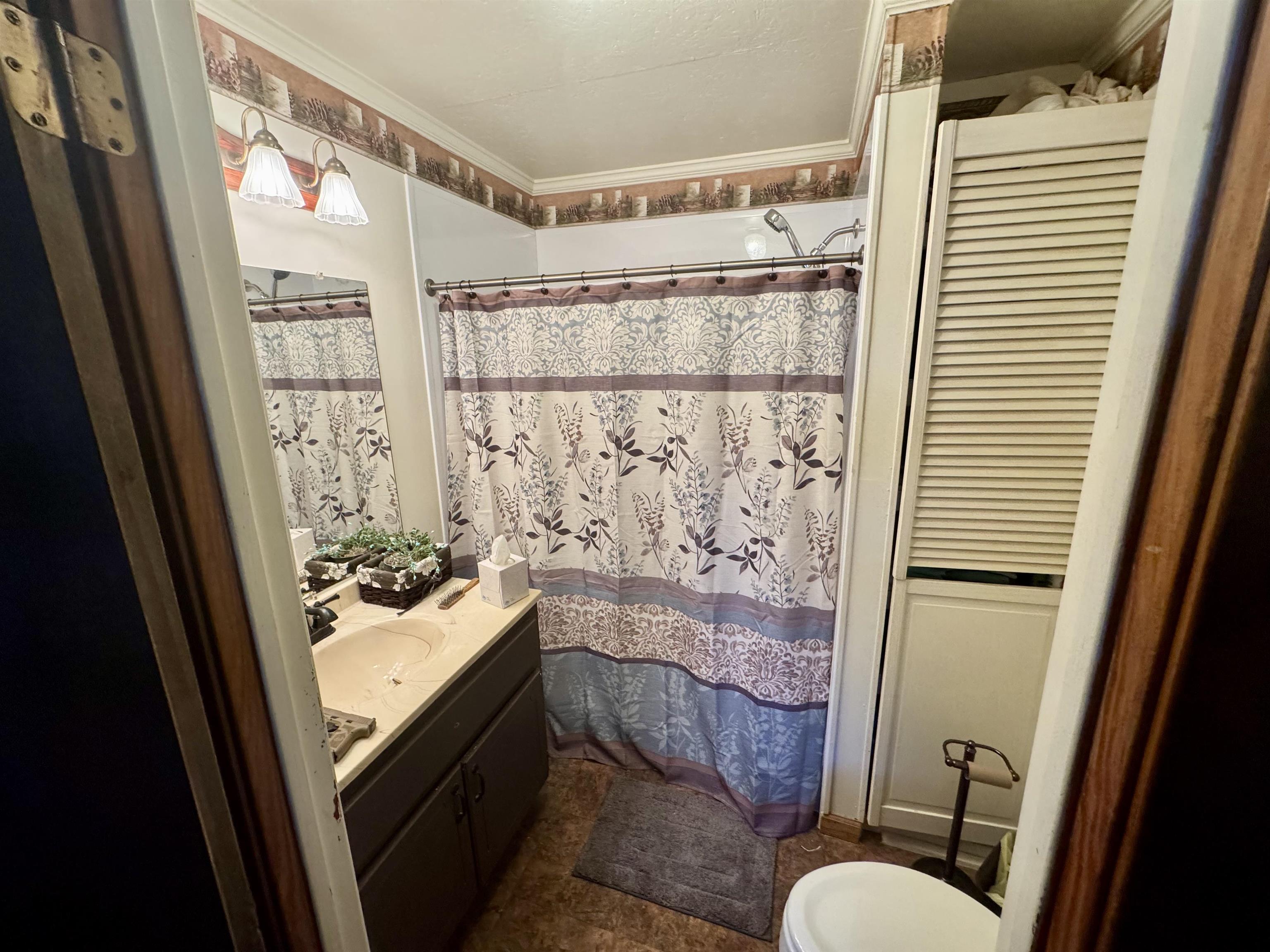 151 Williams Lane Cedar Grove, TN 38321 - Photo 34 of 40 Full bath featuring vanity, curtained shower, toilet, and ornamental molding