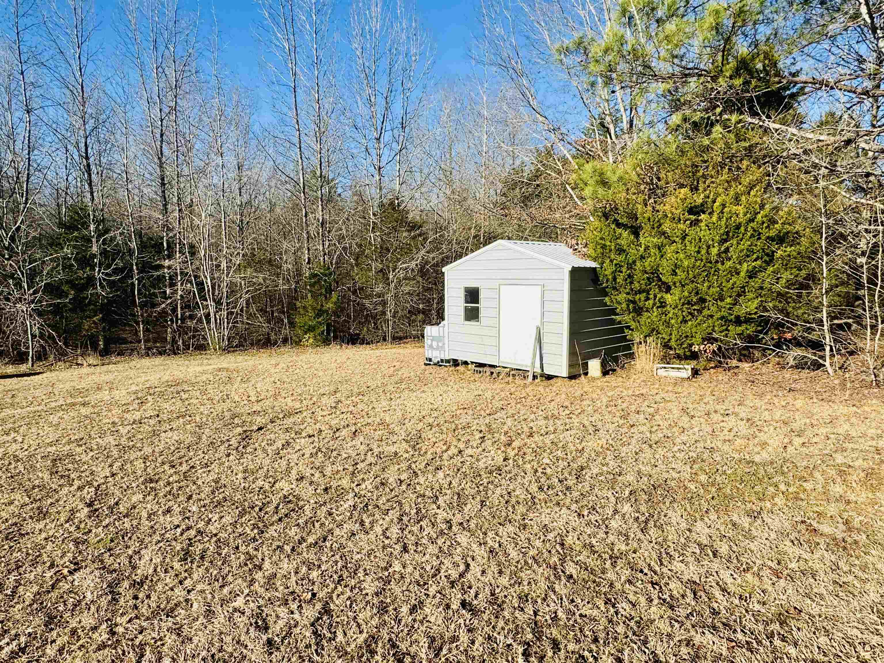 151 Williams Lane Cedar Grove, TN 38321 - Photo 37 of 40 View of yard featuring a storage unit and an outbuilding