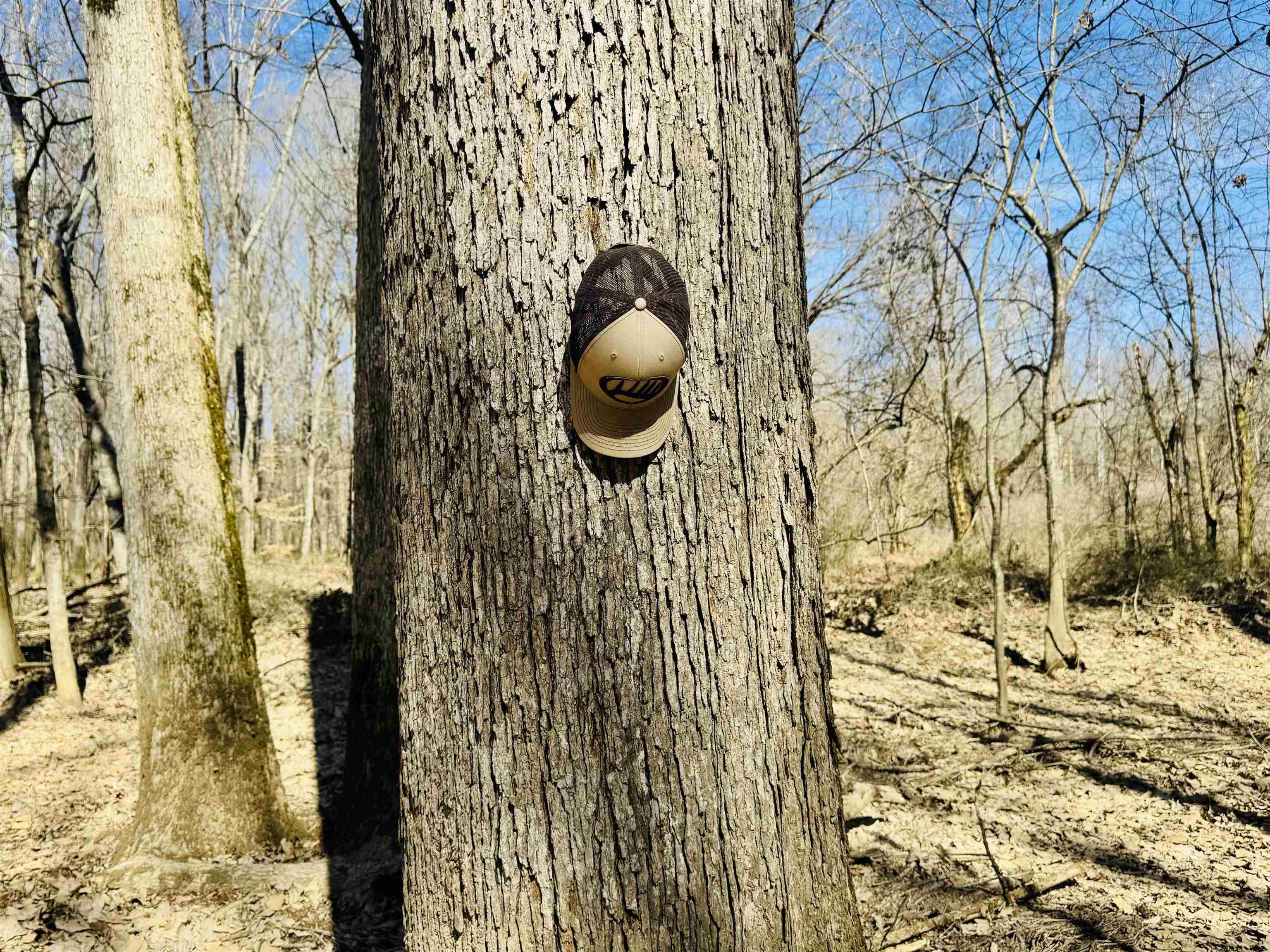 151 Williams Lane Cedar Grove, TN 38321 - Photo 38 of 40 a bathroom with a sink and shower