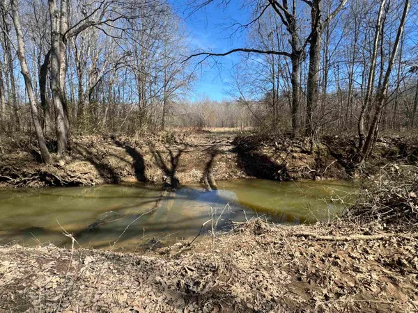 a view of a dry yard