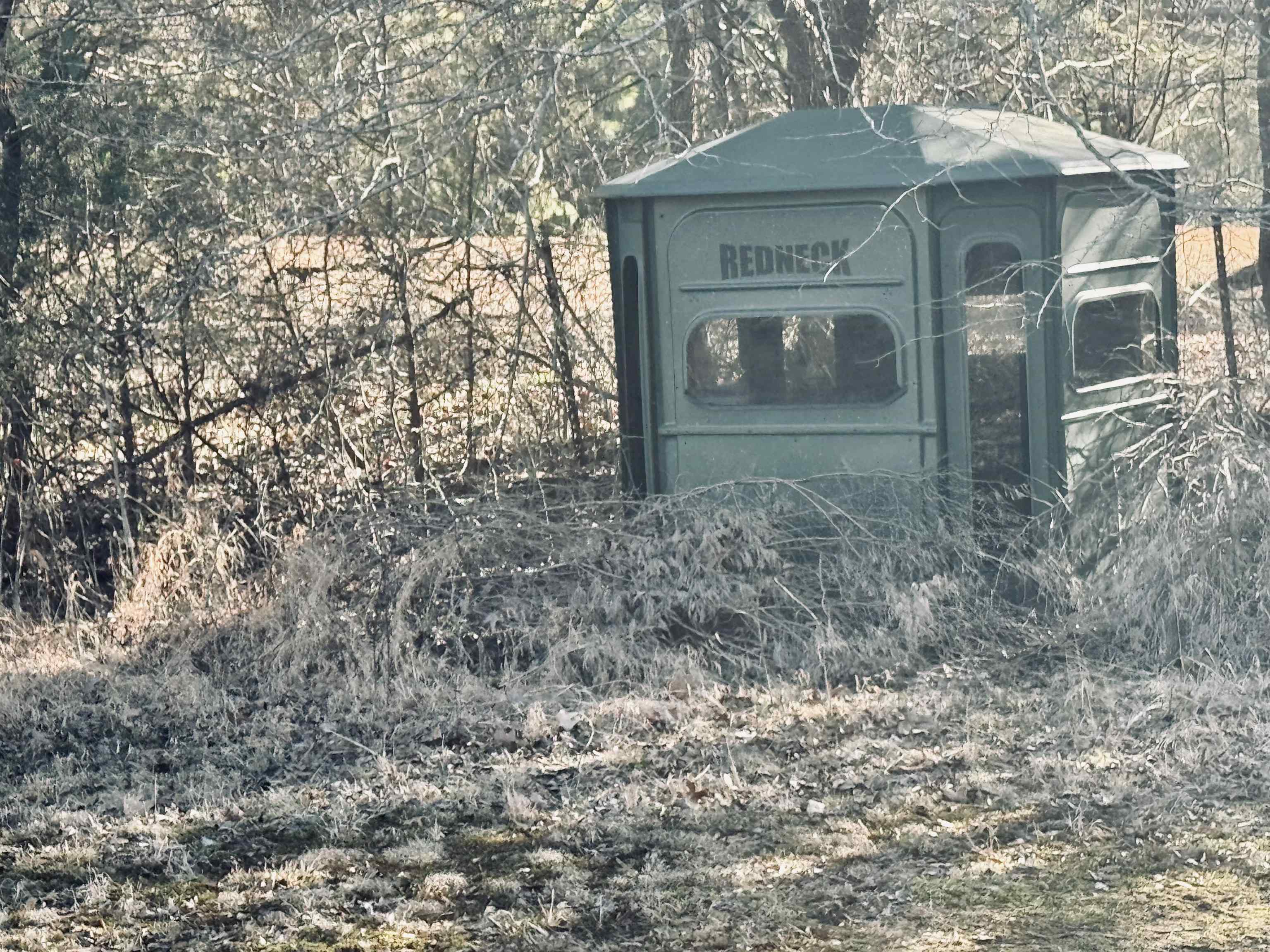 151 Williams Lane Cedar Grove, TN 38321 - Photo 5 of 40 a front view of a house with a yard