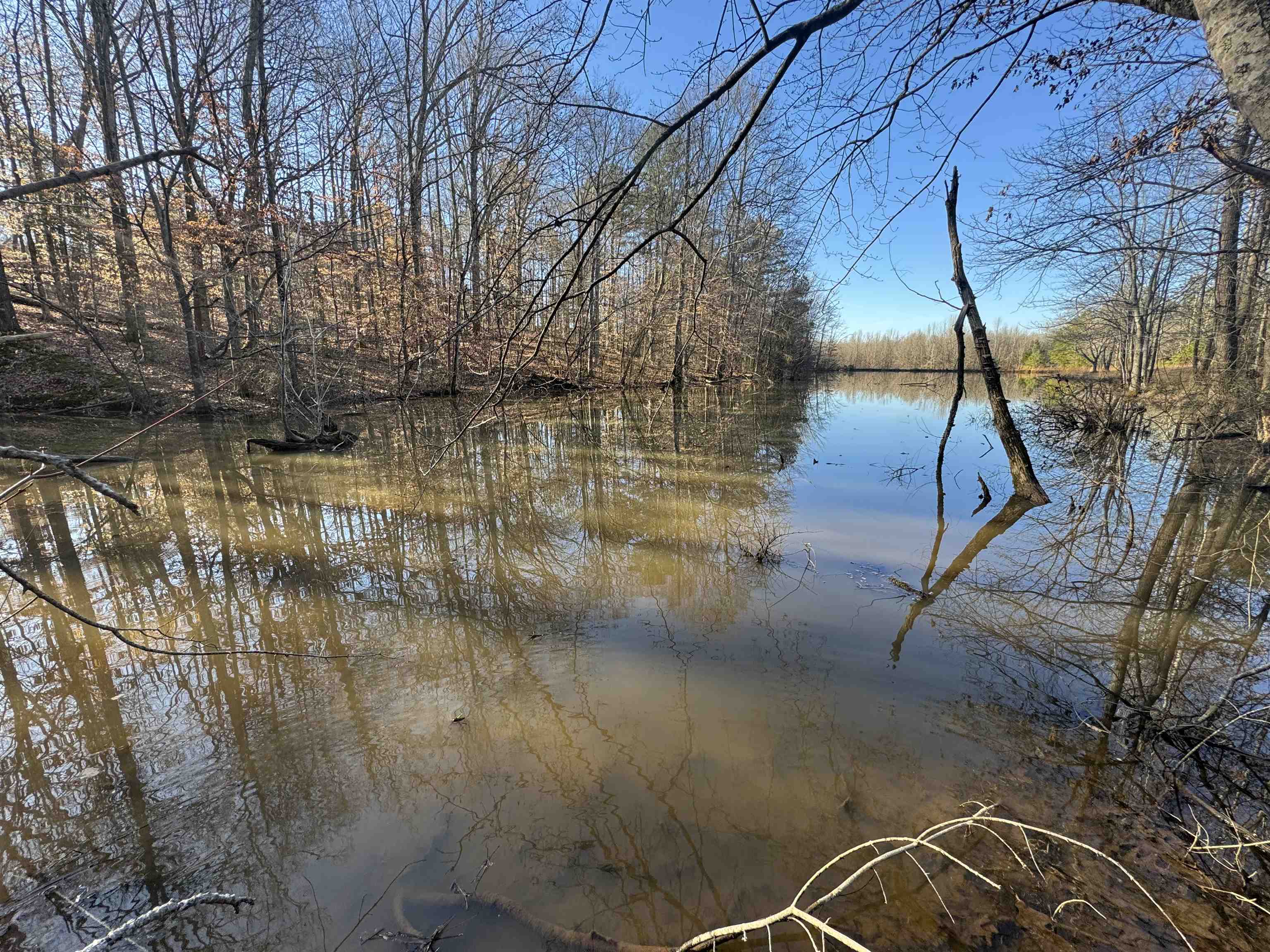 151 Williams Lane Cedar Grove, TN 38321 - Photo 5 of 40 Property view of water