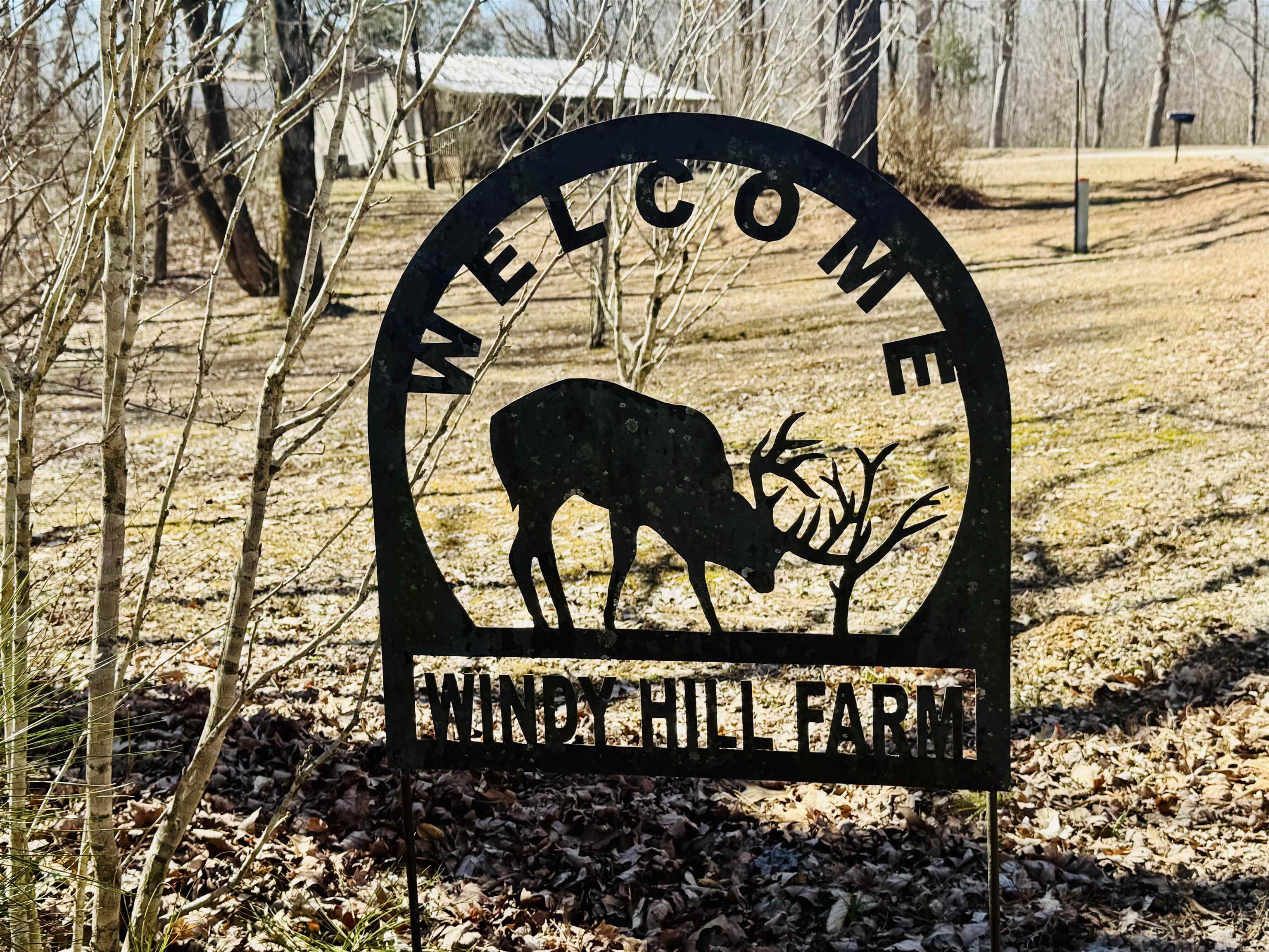 151 Williams Lane Cedar Grove, TN 38321 - Photo 6 of 40 a view of entrance gate