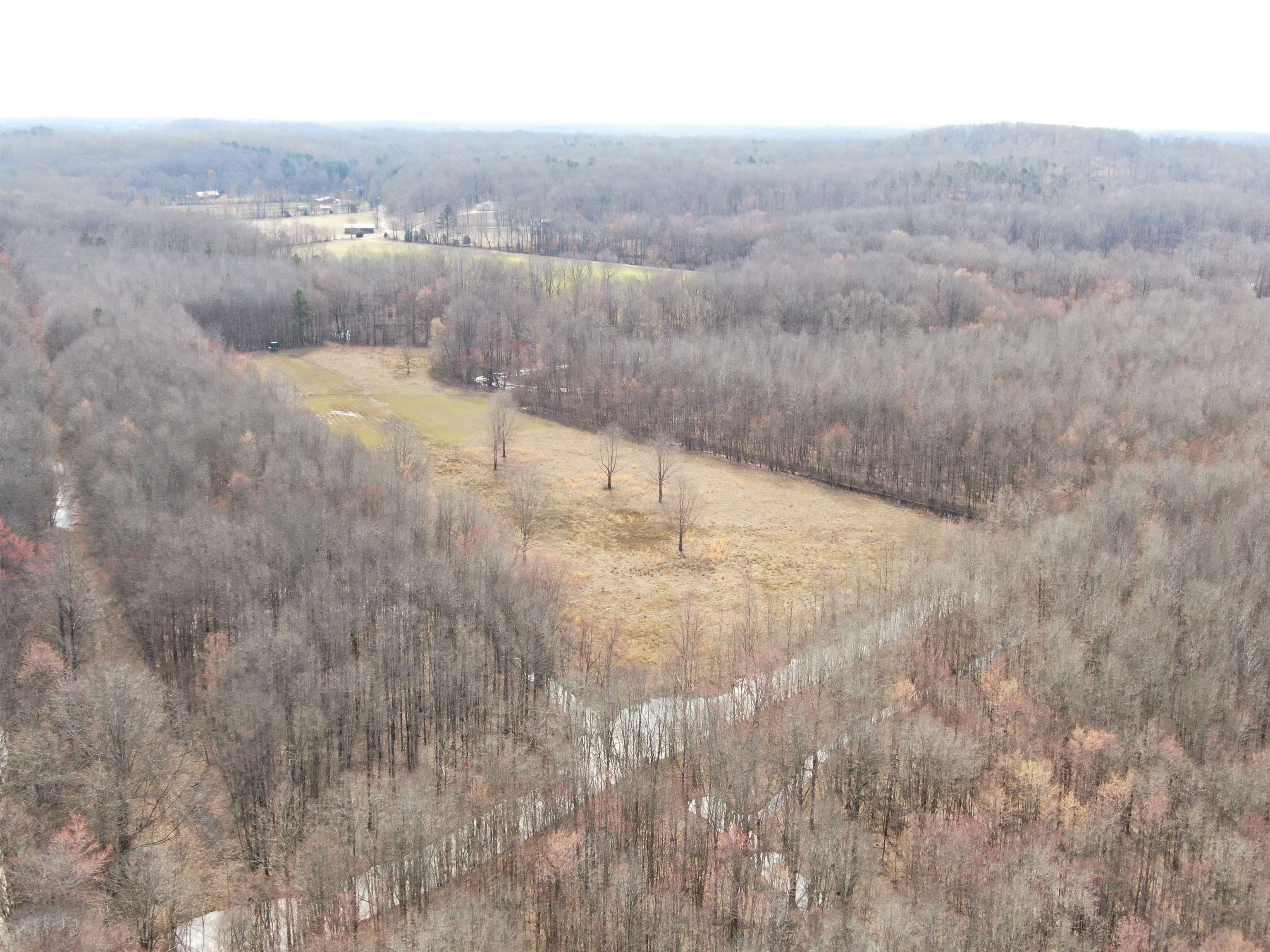 151 Williams Lane Cedar Grove, TN 38321 - Photo 10 of 40 a view of a dry yard