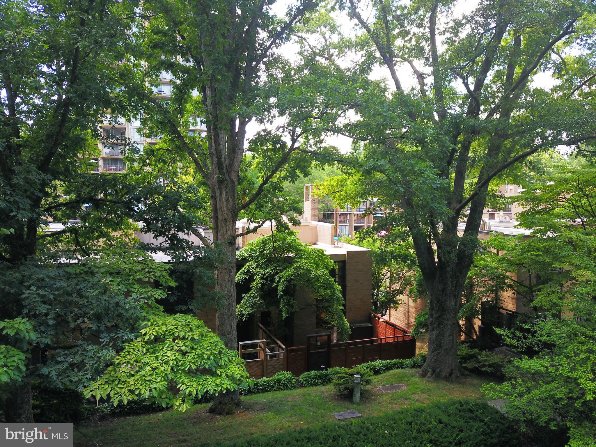 1672 Chimney House Road Reston, VA 20190 - Photo 32 of 62 Gallery Image 32