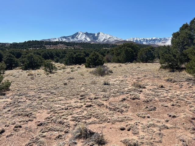 3 B Majors Ranch Road Walsenburg, CO 81089 - Photo 21 of 54