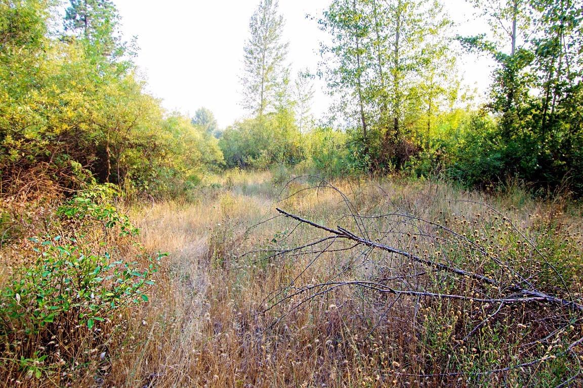 146 Queens Branch Road Rogue River, OR 97537 - Photo 11 of 21 Additional Photo