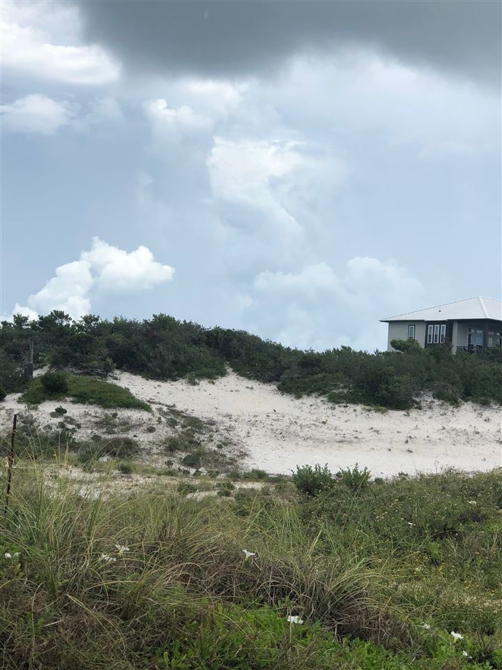 Sea Shell Drive Gulf Shores, AL 36542 - Photo 3 of 4