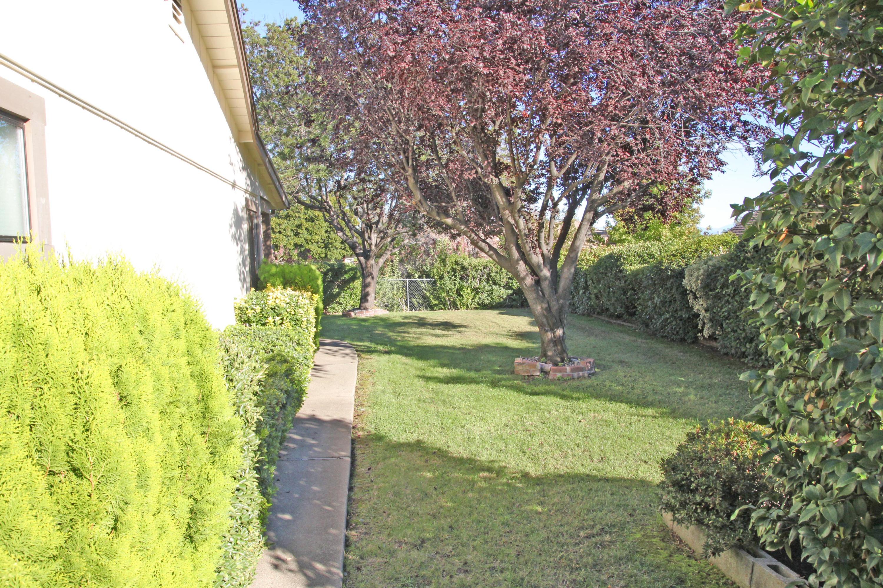 5589 Trish Court Redding, CA 96003 - Photo 20 of 20 a view of yard with green space