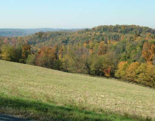 1100 Eagles Nest Road Vandergrift, PA 15690 - Photo 5 of 6 View.