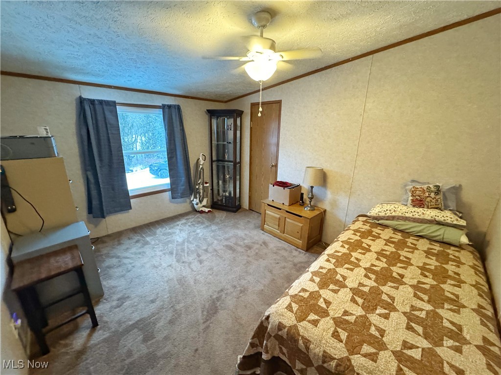 72117 Barton Road Bridgeport, OH 43912 - Photo 10 of 42 Bedroom featuring a textured ceiling, ornamental molding, carpet flooring, a ceiling fan, and a textured wall