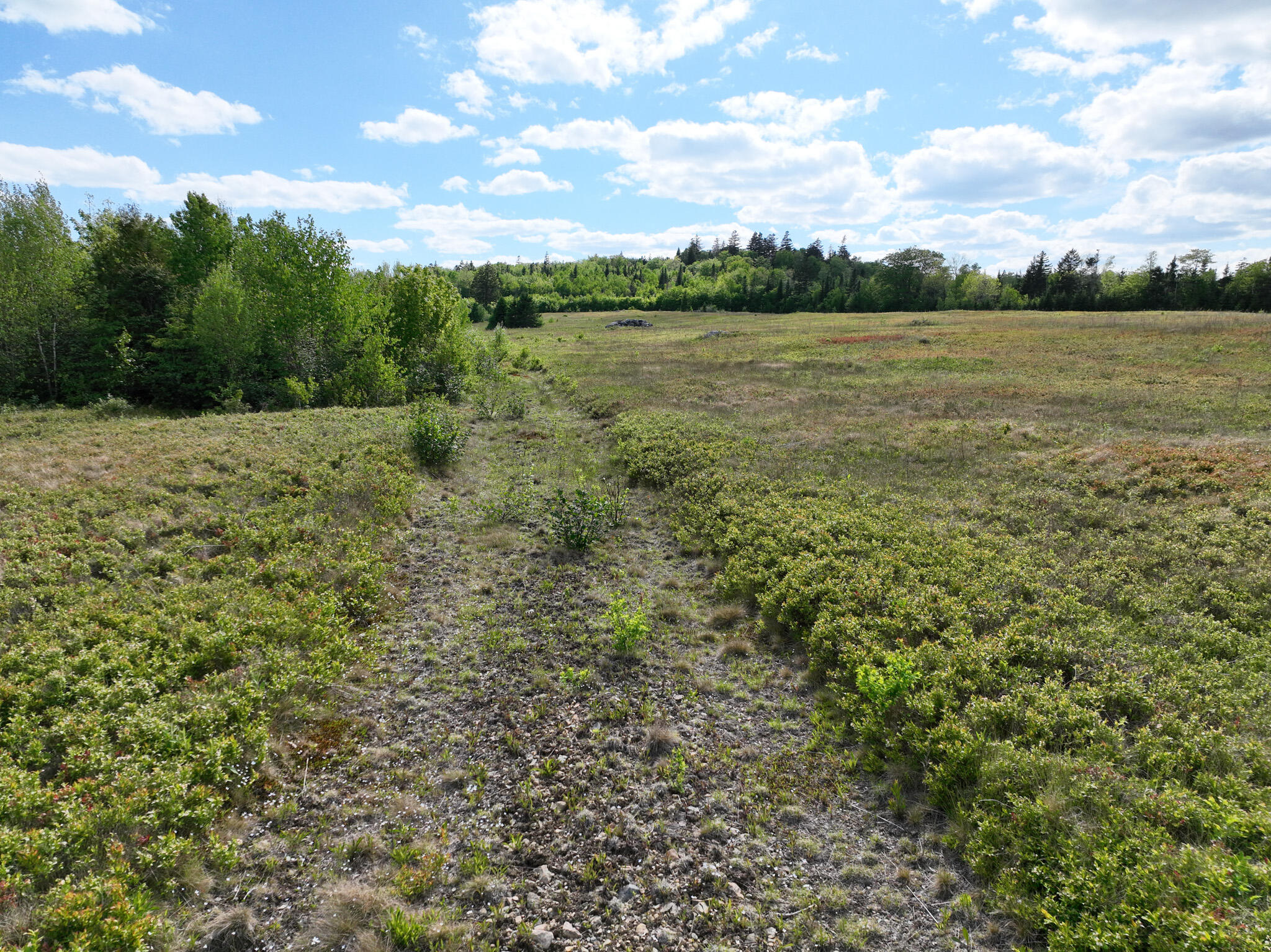 18-05 Number 9 Road Lubec, ME 04652 - Photo 37 of 43 DJI_0456