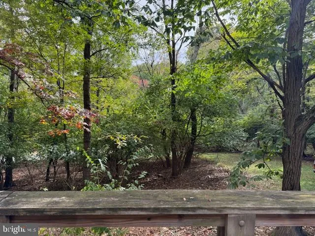 a view of a tree with a yard