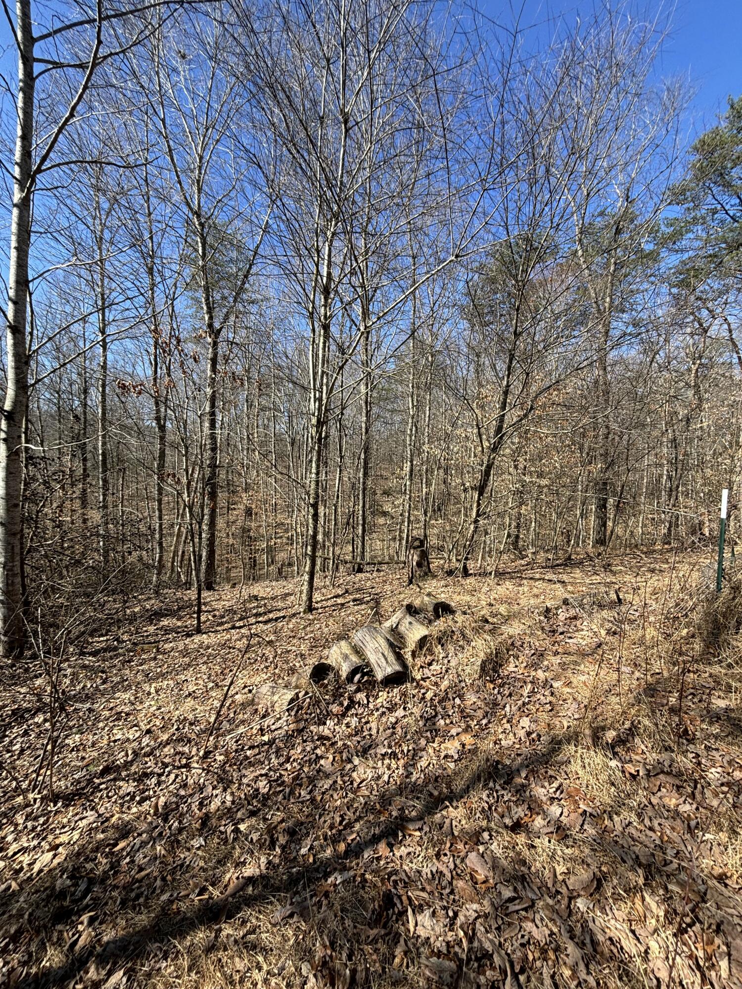 580 Nelson Branch Road Clay City, KY 40312 - Photo 5 of 38 tempImageziDwGW