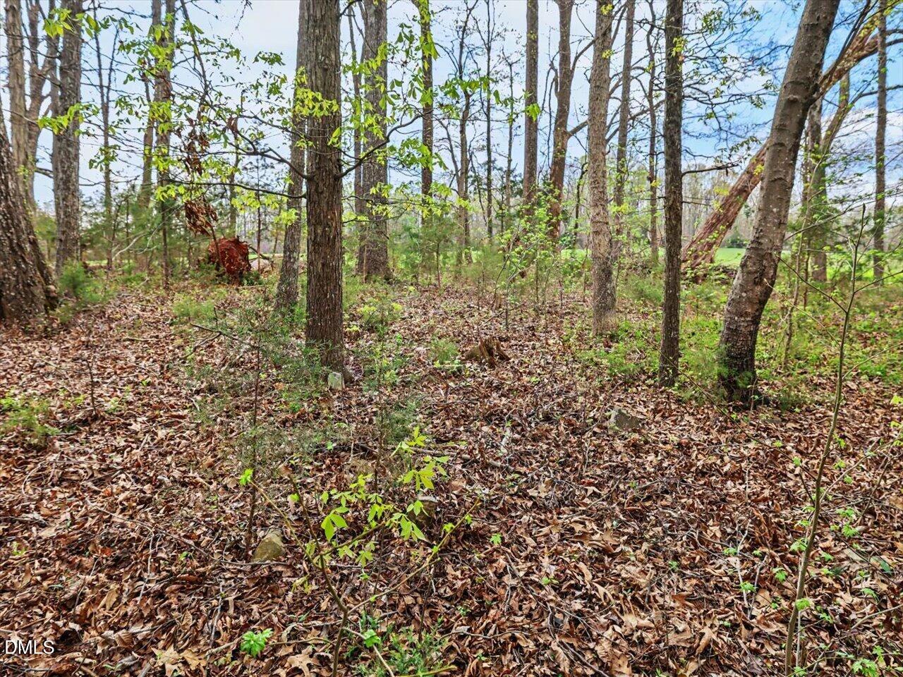 7793 Ridgeville Road Leasburg, NC 27291 - Photo 83 of 91