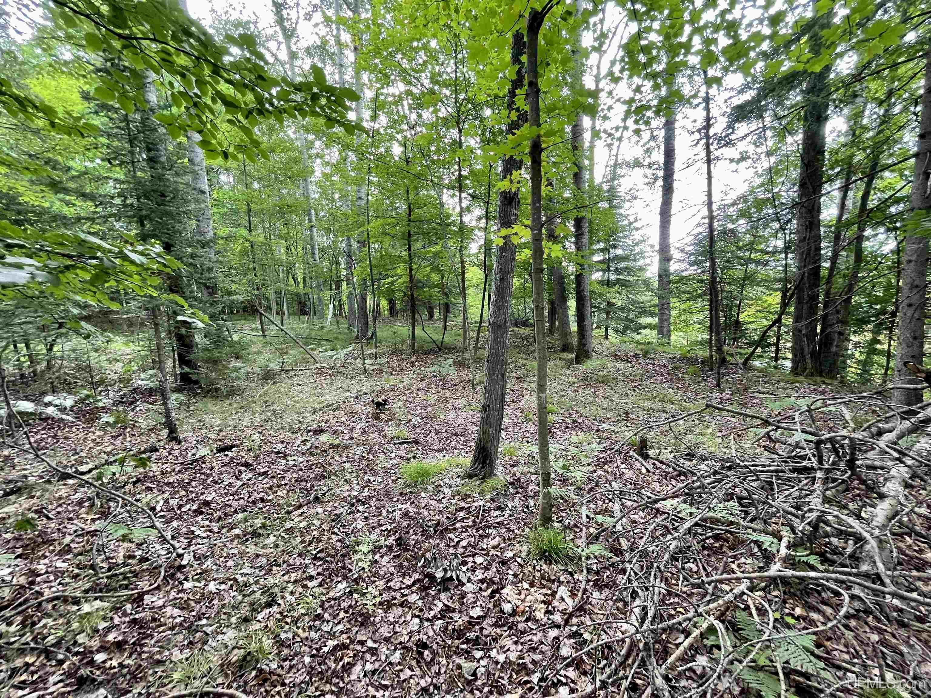 23.5 Rd Gladstone Mi 49837 Road Gladstone, MI 49837 - Photo 38 of 45