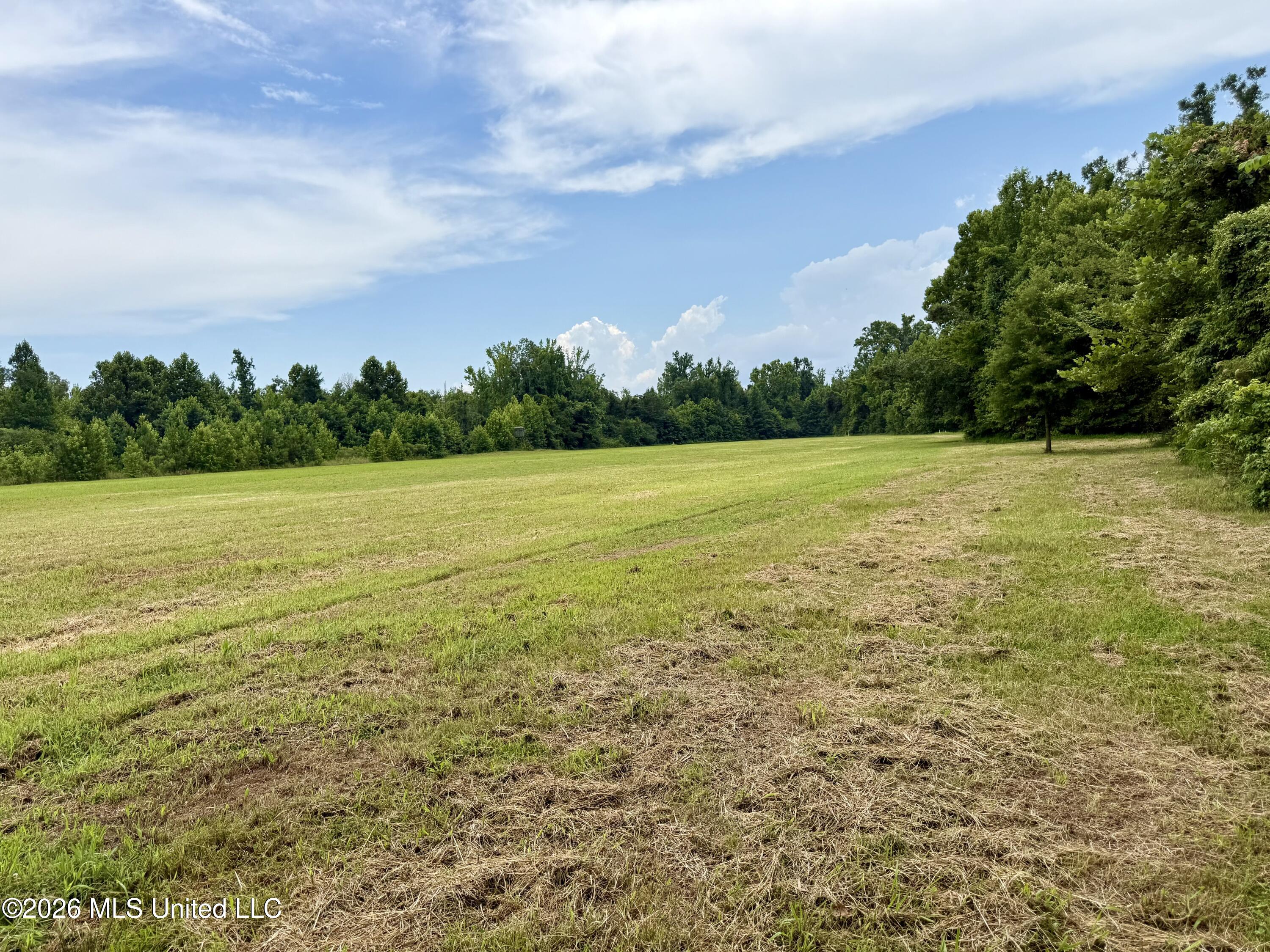 568 Smith-Bailey Road Durant, MS 39063 - Photo 29 of 81 Photo Jul 02 2026, 2 36 29 PM