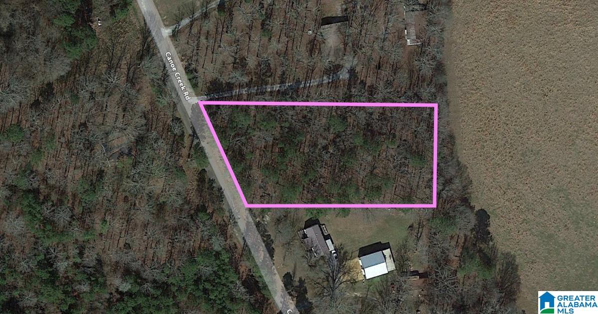 0 Canoe Creek Road Rainbow City, AL 35906 - Photo 1 of 1