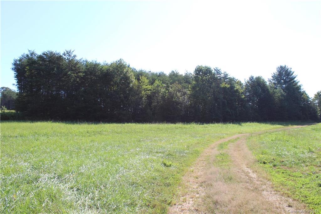 1237 Bill Collins Road Columbus, NC 28722 - Photo 14 of 16 a view of a yard
