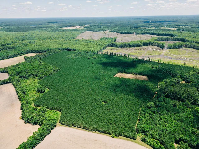 $420,000 | 0 Varnadoe Road, Islandton, SC 29929