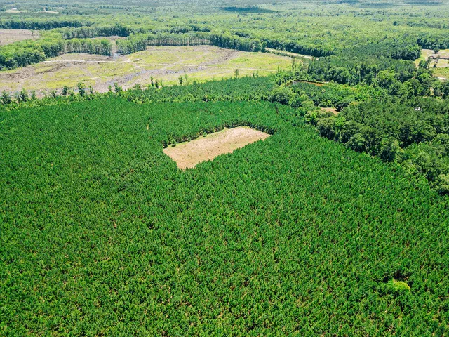 $420,000 | 0 Varnadoe Road, Islandton, SC 29929