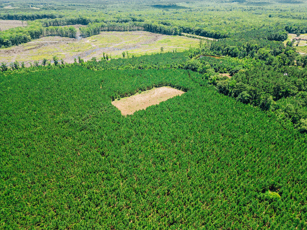 0 Varnadoe Road Islandton, SC 29929 - Photo 2 of 6 DJI_0196