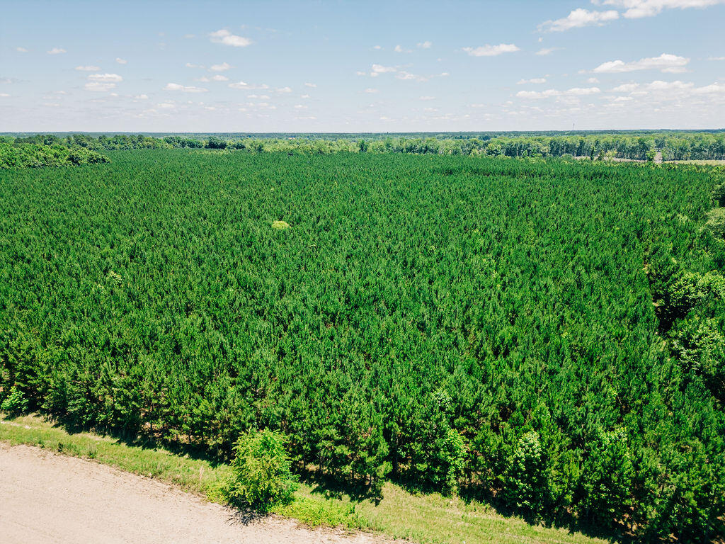 0 Varnadoe Road Islandton, SC 29929 - Photo 3 of 6 DJI_0185 (2)