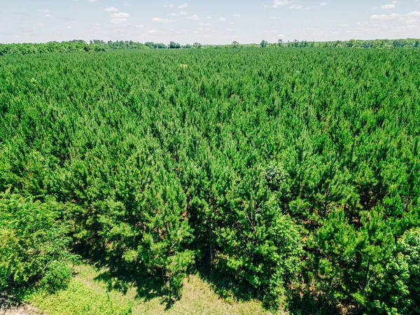 $420,000 | 0 Varnadoe Road, Islandton, SC 29929