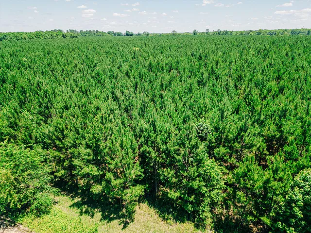 $420,000 | 0 Varnadoe Road, Islandton, SC 29929