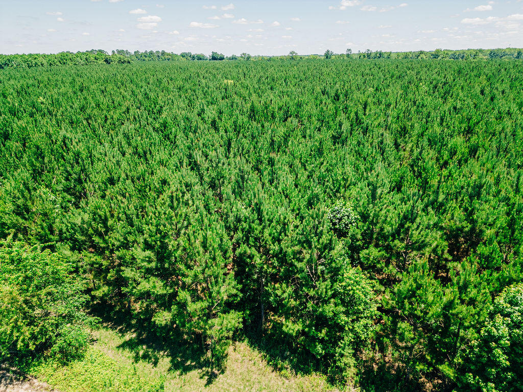 0 Varnadoe Road Islandton, SC 29929 - Photo 4 of 6 DJI_0187 (1)